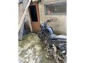 Sahibinden Mondial 125 Drift L CBS 