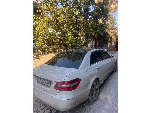 BOYASIZ DEĞİŞENSİZ KOLDAN VİTES