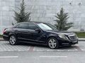 HATASIZ BOYASIZ E.350 Premium