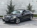 HATASIZ BOYASIZ E.350 Premium