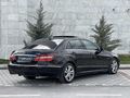 HATASIZ BOYASIZ E.350 Premium