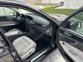 HATASIZ BOYASIZ E.350 Premium