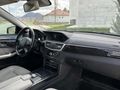 HATASIZ BOYASIZ E.350 Premium