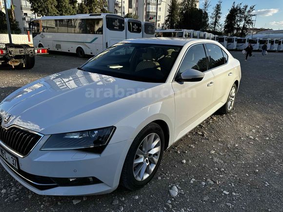 Sahibinden Skoda SuperB 1.6 TDI Style 2019 Model 