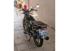 Sahibinden Kuba Çita 100R Gold