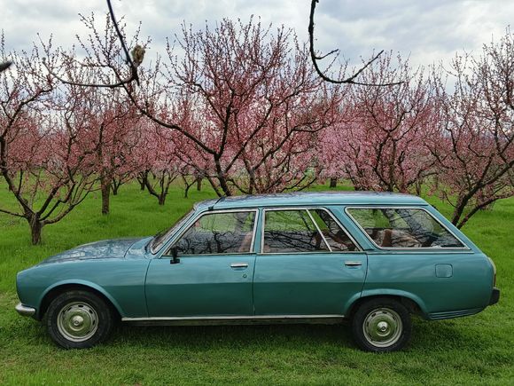 Sahibinden Peugeot 504