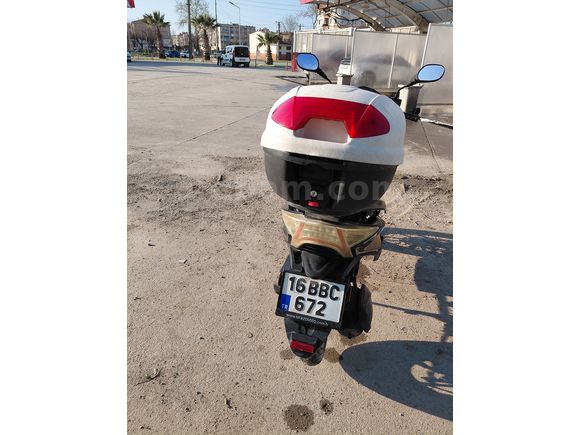 Arora Verano 50