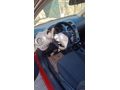 Sahibinden Opel Corsa active 1.4 Twinport 2013 Model