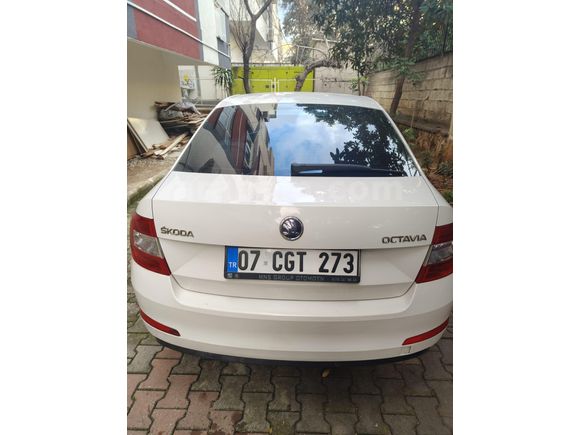Sahibinden Skoda Octavia 1.6 TDI Optimal 2016 Model