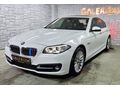 2014 MDEL BMW 5.20d PREMİUM VAKUM SANRUF NBT HAYALET