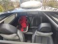 Sahibinden Peugeot 2008 1.5 BlueHDI Allure Dynamic 2020 Model