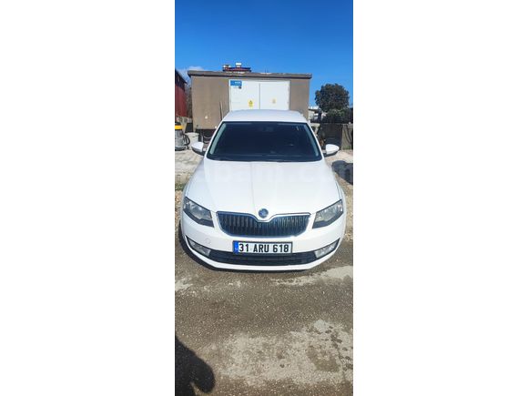 Düşük km temiz Octavia