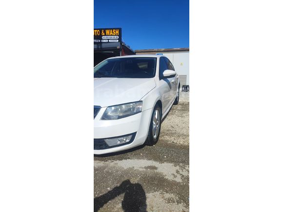 Düşük km temiz Octavia