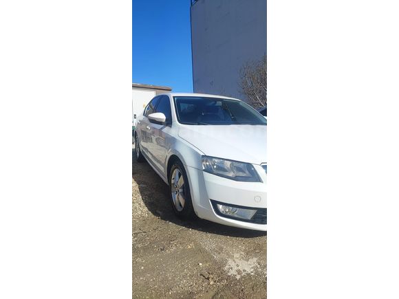 Düşük km temiz Octavia