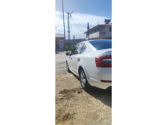 Düşük km temiz Octavia
