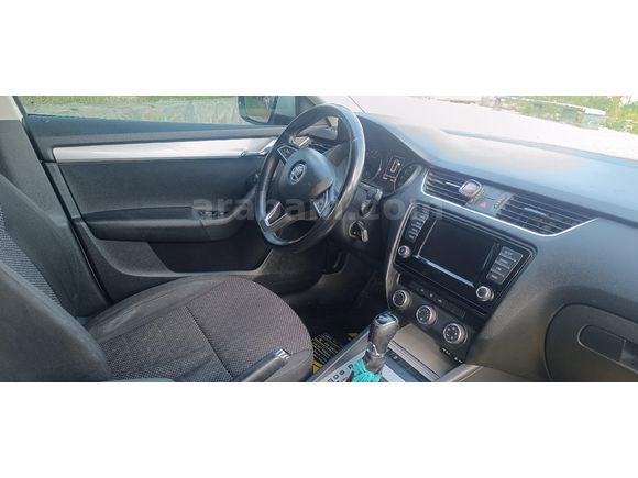 Düşük km temiz Octavia