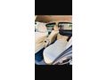 Sahibinden Honda Civic 1.6i VTEC Dream 2007 Model 