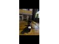 Sahibinden SYM Jet 14 200i ABS