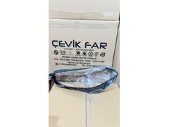 BMW 1 SERİSİ F40 FAR CAMI