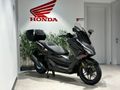 YETKİLİ BAYİ HONDA AÇAR'DAN 2026 FORZA 250 CC NAKİT'E ÖZEL FİYAT !