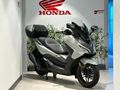 YETKİLİ BAYİ HONDA AÇAR'DAN 2026 FORZA 250 CC NAKİT'E ÖZEL FİYAT !