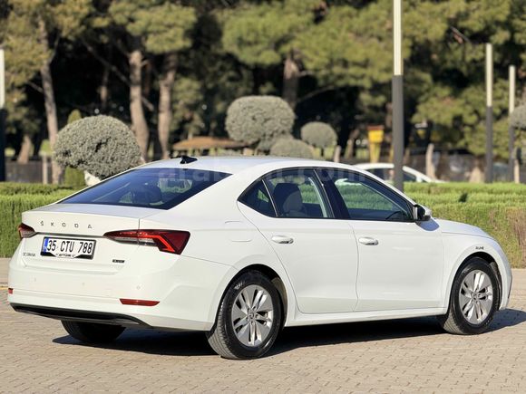Skoda Octavia 1.0 e-Tec Elite 2021 Model İzmir
