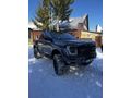 Sahibinden Ford Ranger 2.0 EcoBlue 4x4 XLT 2021 Model 