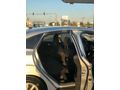 Sahibinden Ford Focus 1.5 TDCi Titanium 2017 Model 