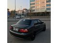Temiz 2011 ALBEA