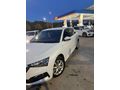 Sahibinden Tramersiz Değişensiz Skoda Scala