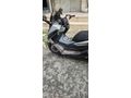 Sahibinden Honda Forza 250 (NSS250)