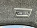 AUTO MAD 2022 50.YIL BOYASIZ - SHADOW - TABA - CURVED DİSPLAY