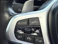 AUTO MAD 2022 50.YIL BOYASIZ - SHADOW - TABA - CURVED DİSPLAY