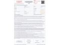 RENAULT MEGANE E-TECH EV60 220 ICONIC