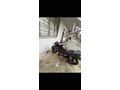 Sahibinden Mondial 125 Drift L CBS 