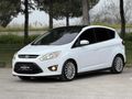 2013 C-MAX CAMTVN+ELKTRKLİ BGJ+SONY+AUTO PRK BOYSIZ