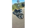 Sahibinden Mondial 125 Vulture i