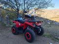 Sahibinden Yuki UTV Thor 250