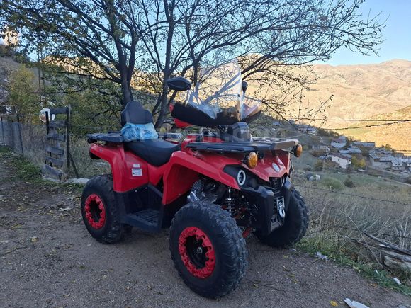 Sahibinden Yuki UTV Thor 250