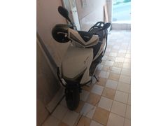 Sahibinden Kuba Blueberry 50