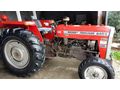 aylar galeriden Massey Ferguson 240 Adana
