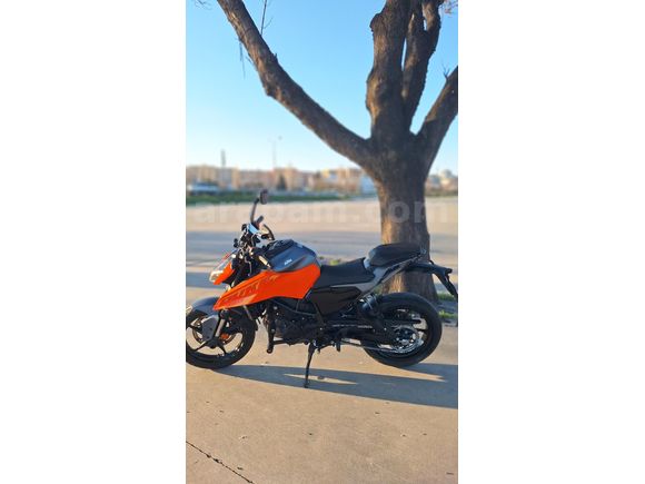 KTM 250 Duke 2025 - Quickshifter - 6200km