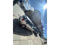 Sahibinden Renault Megane 1.5 dCi Privilege 2008 Model 