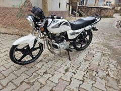 Sahibinden Arora AR 100-19 Elegant