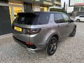 YABAR GROUP 2020 MODEL DISCOVERY R-DYNAMIC S BOYASIZ TRAMERSİZ