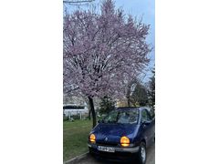 Sahibinden Renault Twingo 1.2 Easy 1997 Model 