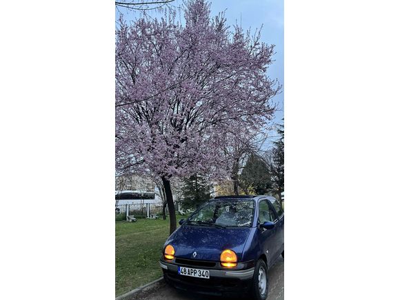 Sahibinden Renault Twingo 1.2 Easy 1997 Model 