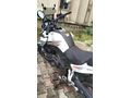 Sahibinden Benelli TRK 251 İzmir