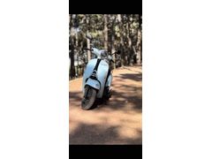 Sahibinden Kuba Blueberry 