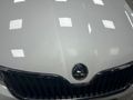 Sahibinden Skoda Rapid 1.6 TDI Elegance 2014 Model
